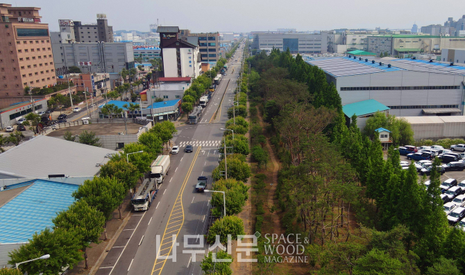 경기도 평택시 포승산업단지 미세먼지 차단숲.